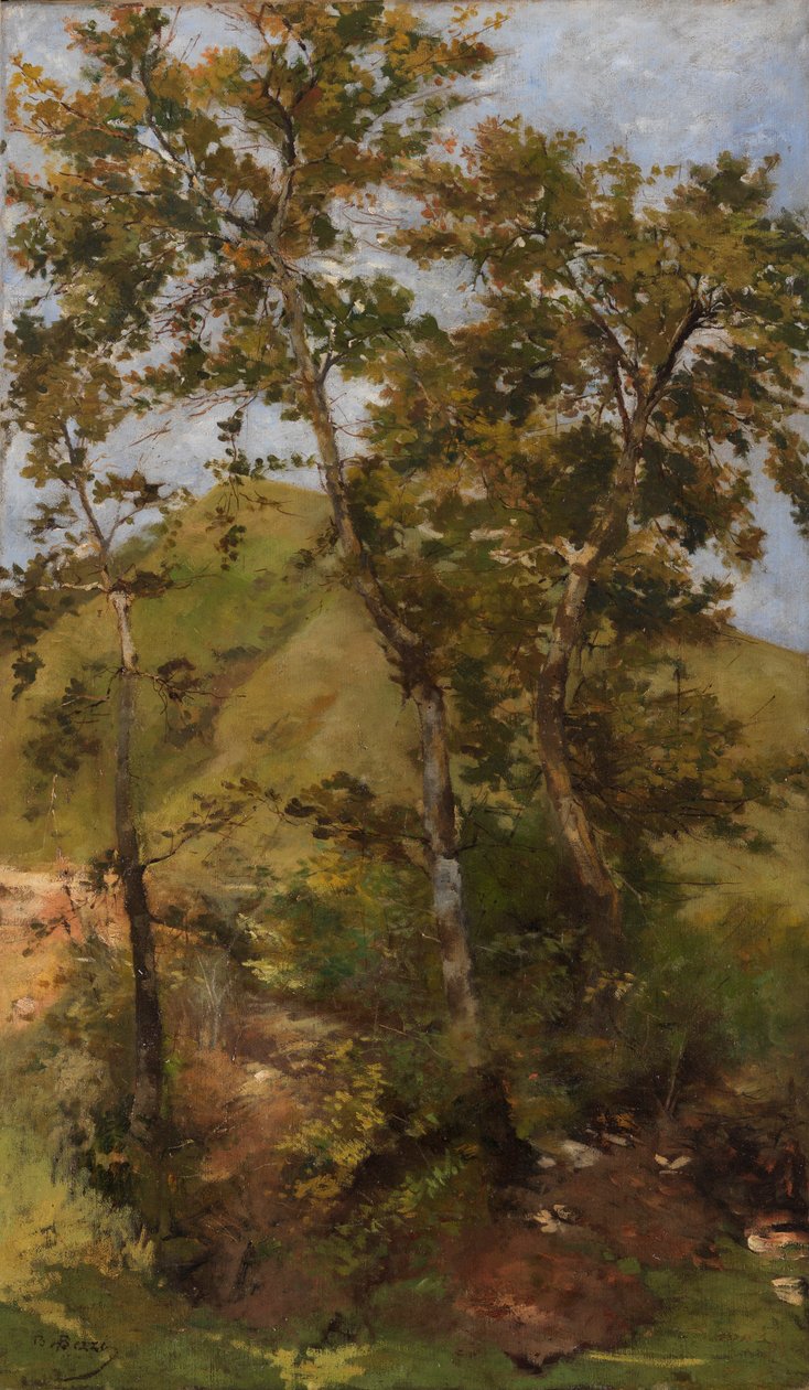  BrookBrook tekijältä Bartolomeo Bezzi