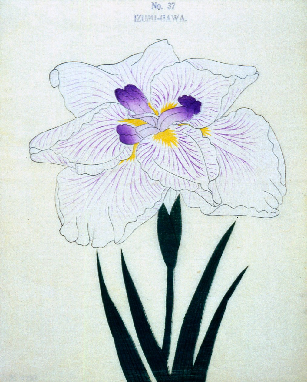 Izumin puolella. 37, 1898 tekijältä Japanese School
