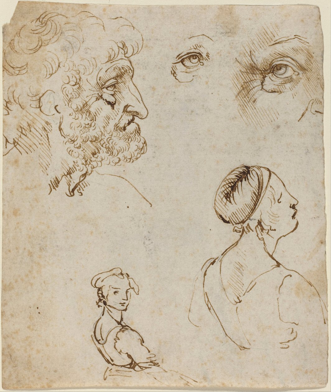 Tutkimusarkki [recto] tekijältä Leonardo da Vinci