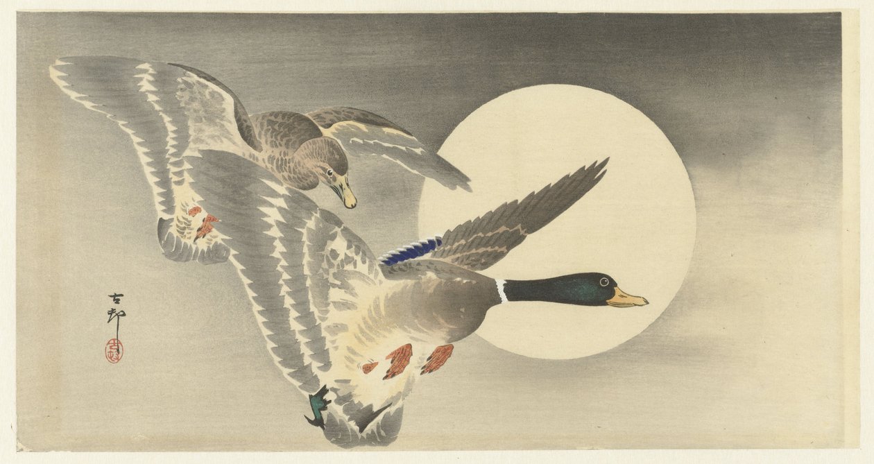 Kaksi ankkaa täysikuulla tekijältä Ohara Koson