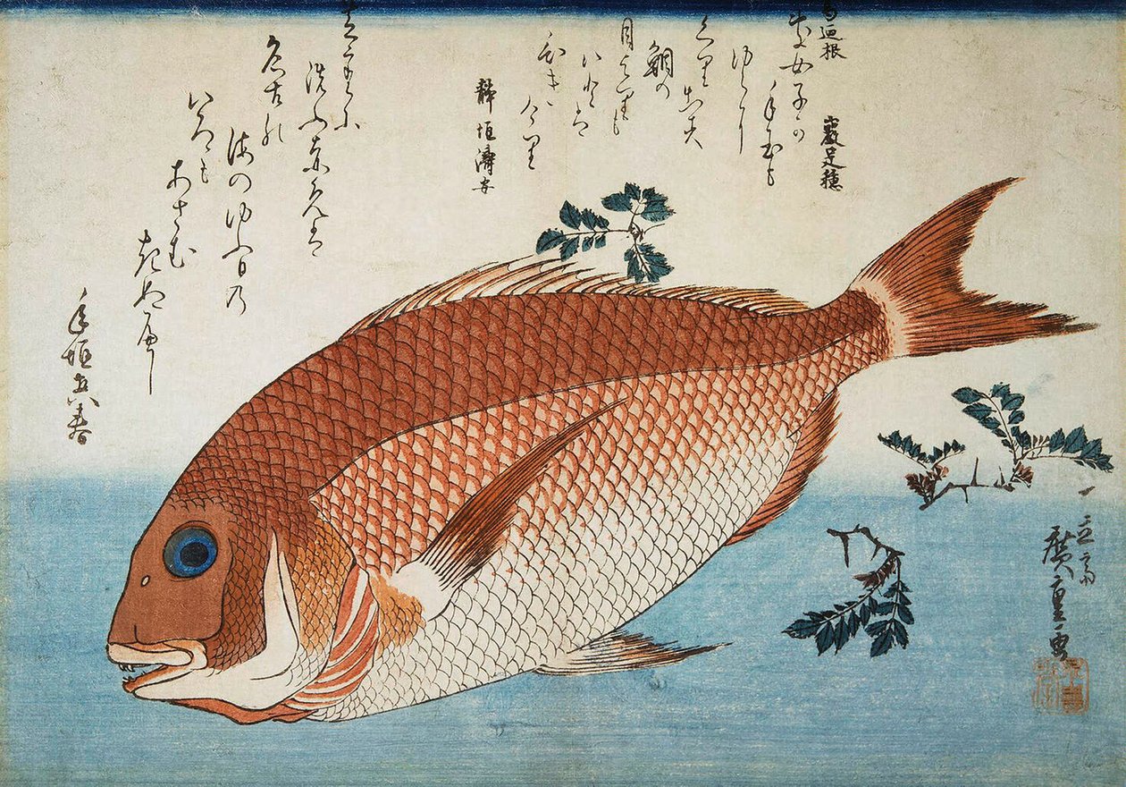Punainen merilahna, 1832-1834. tekijältä Utagawa Hiroshige