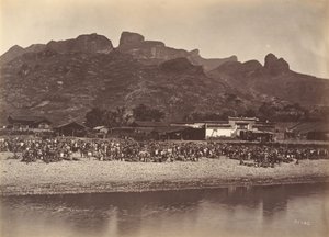 Duck Market, n. 1869.