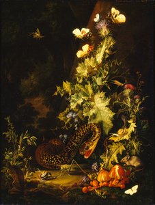 Asetelma käärmeen kanssa, 1700-luvun alku