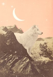Giant Wolf in Pink Mountains, 2021 (kollaasi)