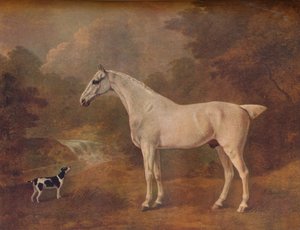 Kirppujen purema harmaa ja täpläterrieri, 1803.