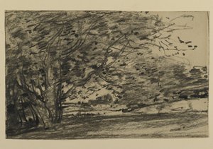 Study of Trees, 1870 (grafiitti paperille)