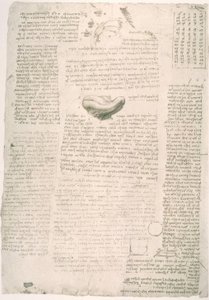 Anatomiestudien tekijältä Leonardo da Vinci