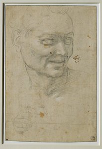 Ignudon pää ja oikea käsi Jesajan yläpuolella ja vasemmalla puolella, Capella Sistinan holvissa ... tekijältä Michelangelo Buonarroti