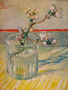 Mantelin kukkiva varsi, 1888 tekijältä Vincent van Gogh