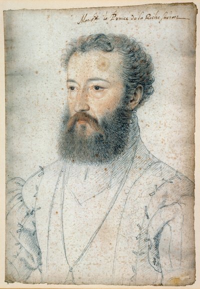 La Roche-sur-Yonin prinssin (1515-1565) Charles de Bourbonin muotokuva. Clouet Francois