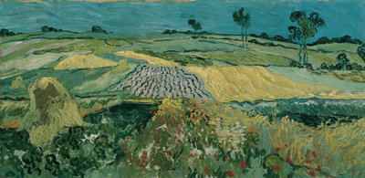Die Ebene von Auvers tekijältä Vincent van Gogh