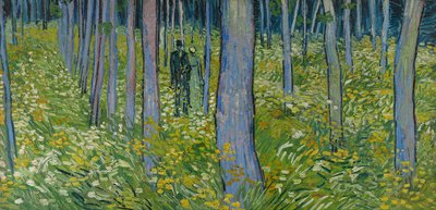 Aluskasvillisuus kahdella hahmolla tekijältä Vincent van Gogh